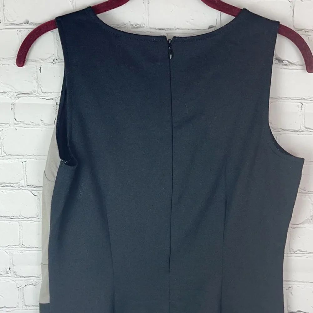 The Limited Color Block Dress - Picture 3 of 6